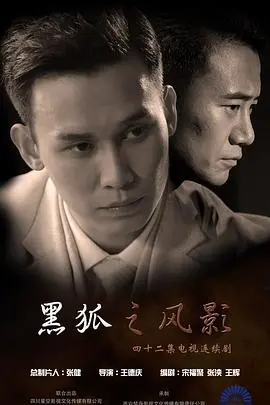 《黑狐之风影》：抗战烽火下的谍影重重，民族大义与个人情感的抉择