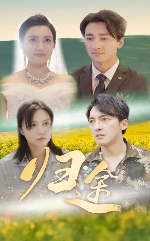 《归途》：一场关于家庭、身份与救赎的深刻剖析，触及灵魂的温情与撕裂！